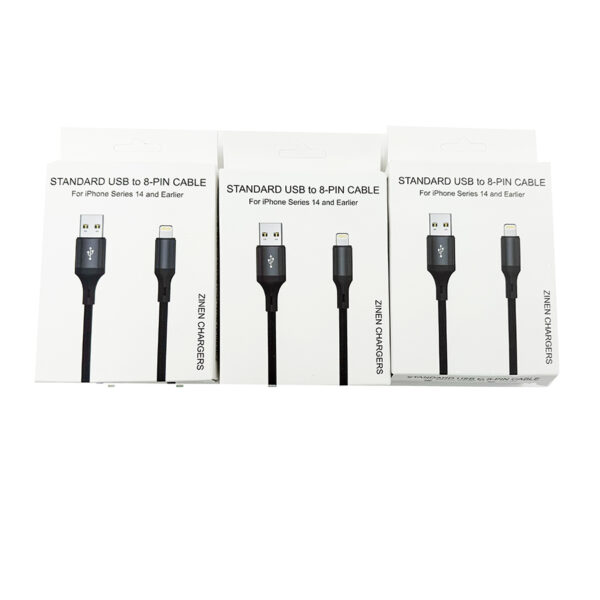 USB to 8-Pin Zinen Cable - Image 4